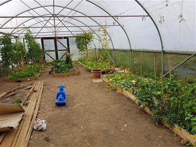 Picture 25